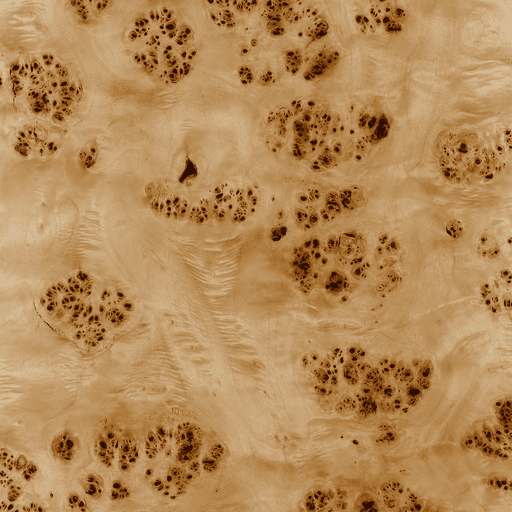 Exotic_Mapa_Burl