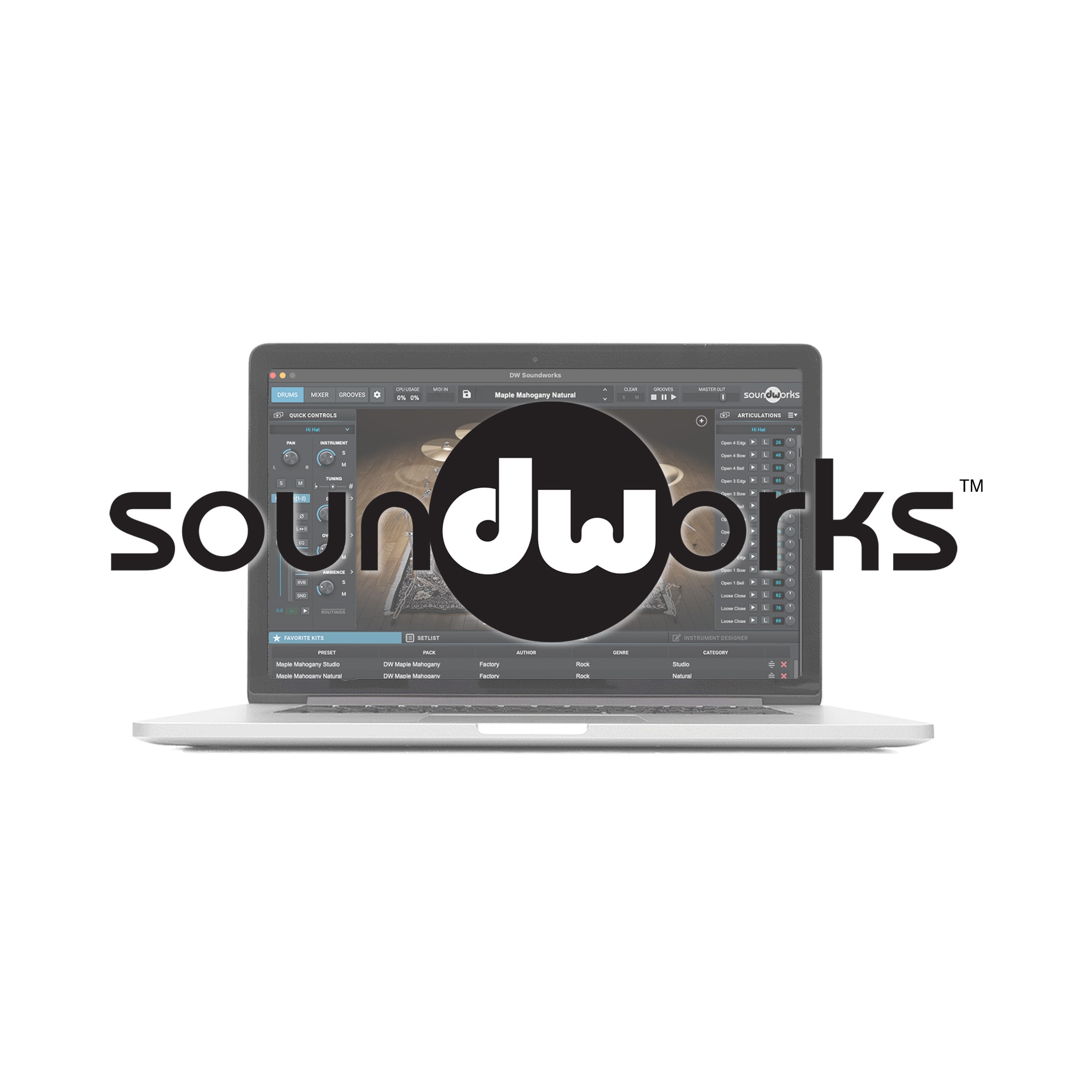 DW Soundworks Software v1.5 on laptop