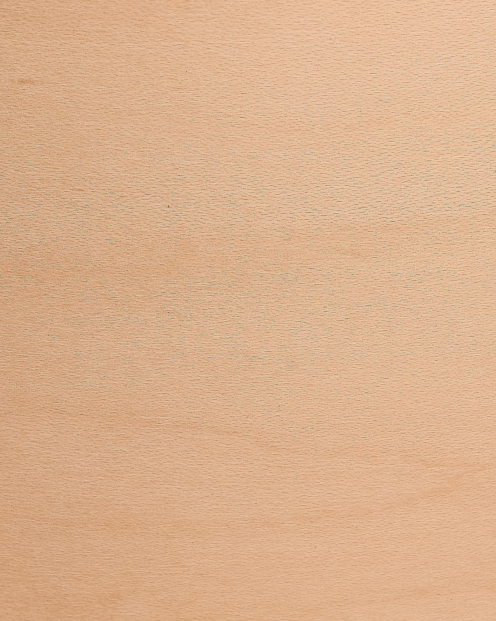 Prepped Shell Close up of sanded maple shell