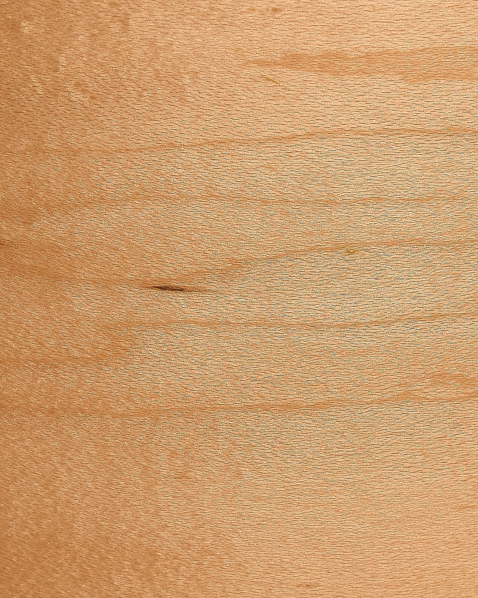 Primered Shell Close up of primered maple wood
