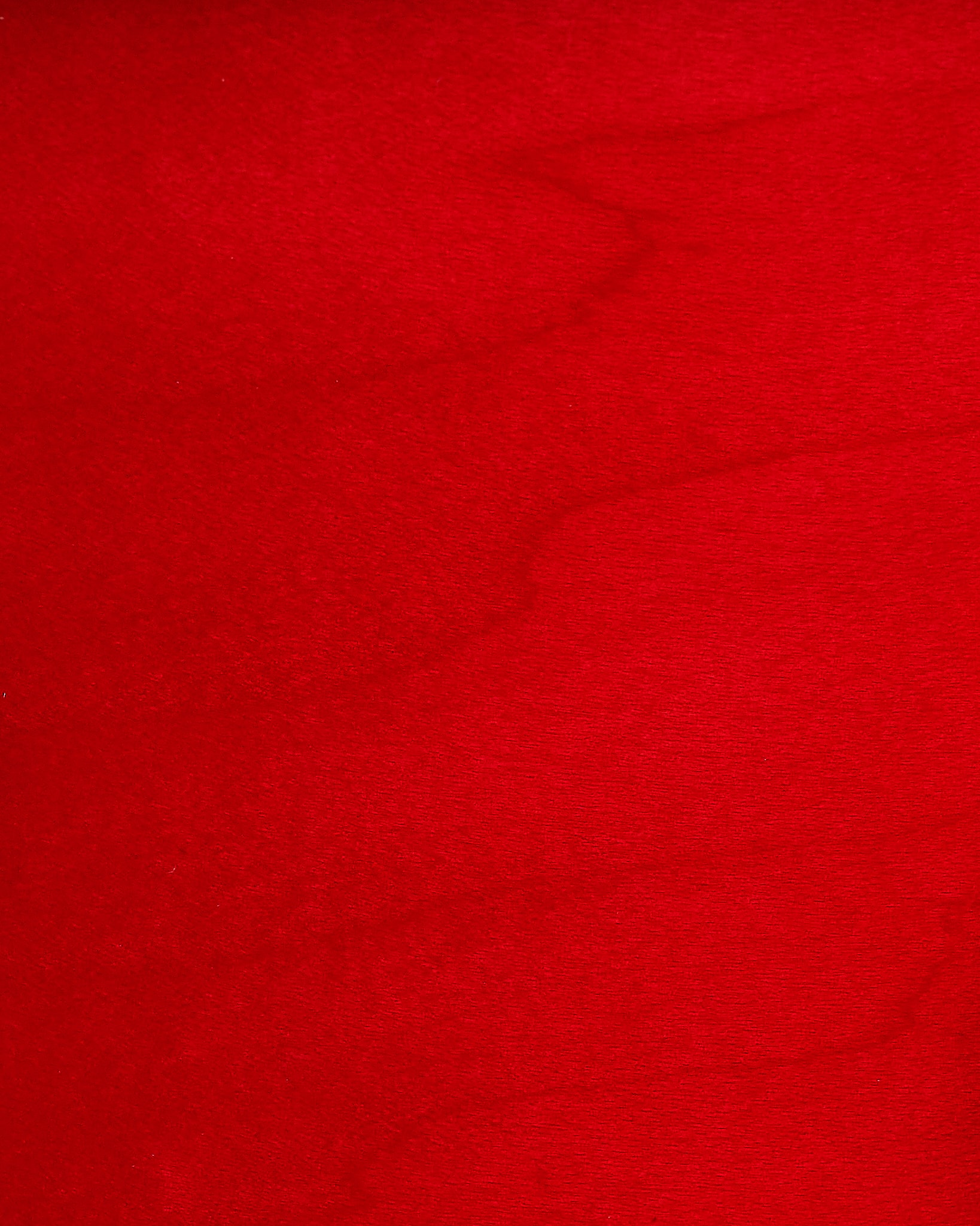 Buffed Shell Close up of lacquered maple shell