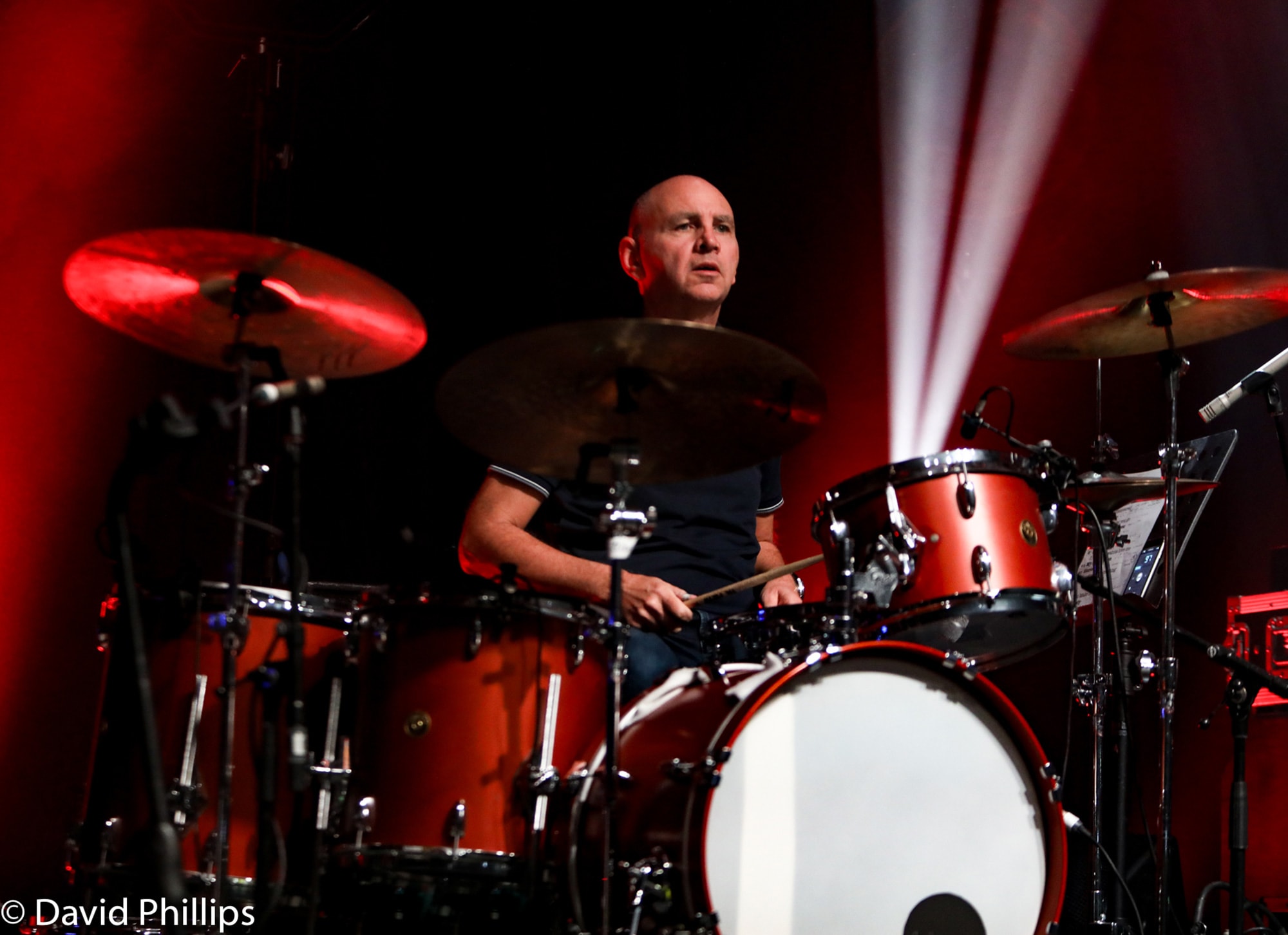 NEAL WILKINSON