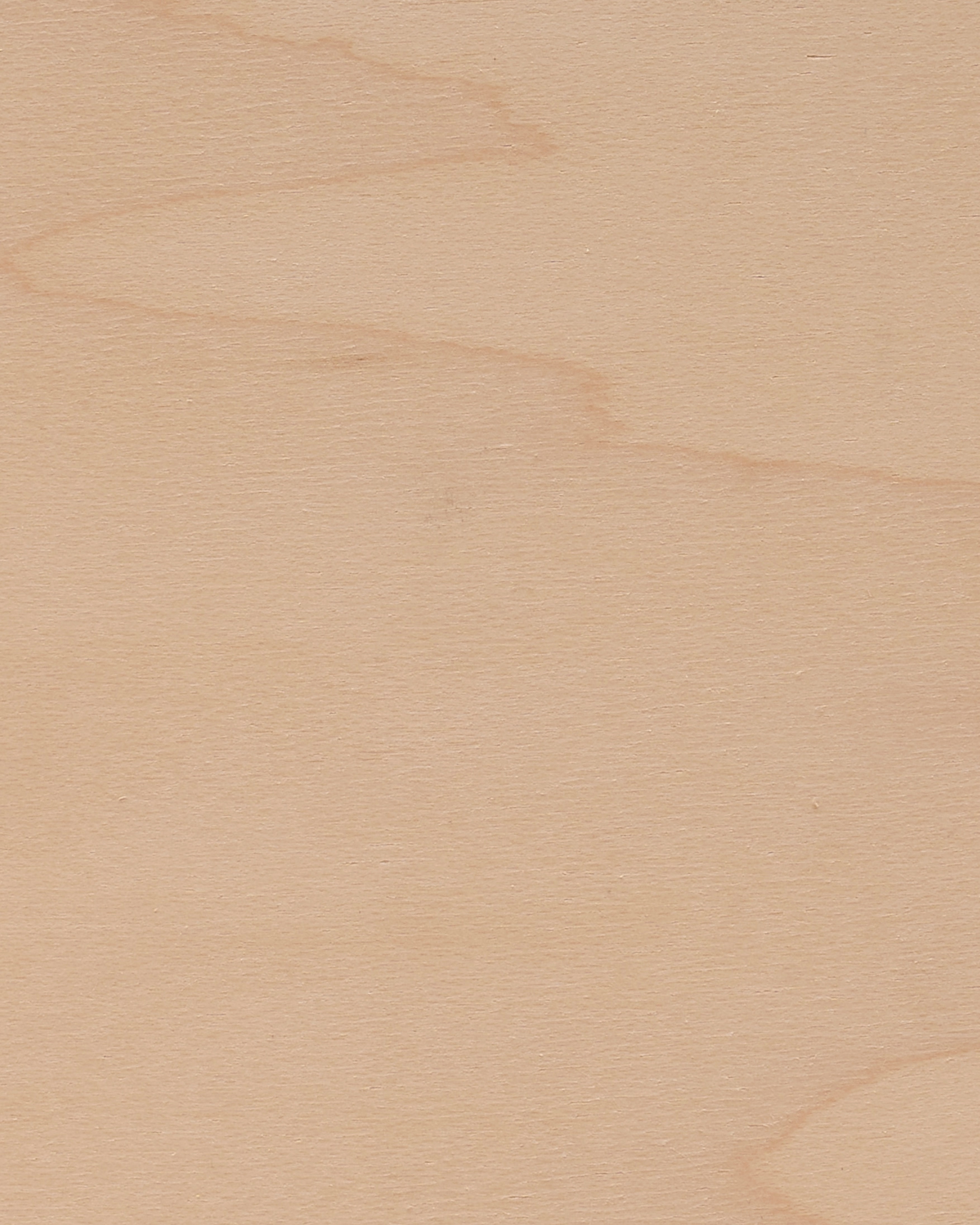 Prepped Shell Prepped Shell close up maple
